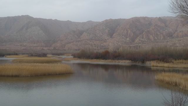 调整大小 L1030059.JPG